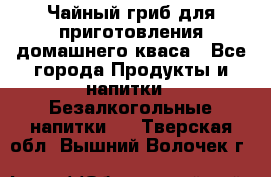 Чайный гриб для приготовления домашнего кваса - Все города Продукты и напитки » Безалкогольные напитки   . Тверская обл.,Вышний Волочек г.